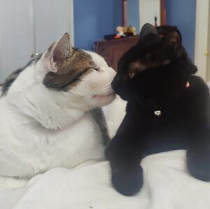 Meet your Posher, Brigitte